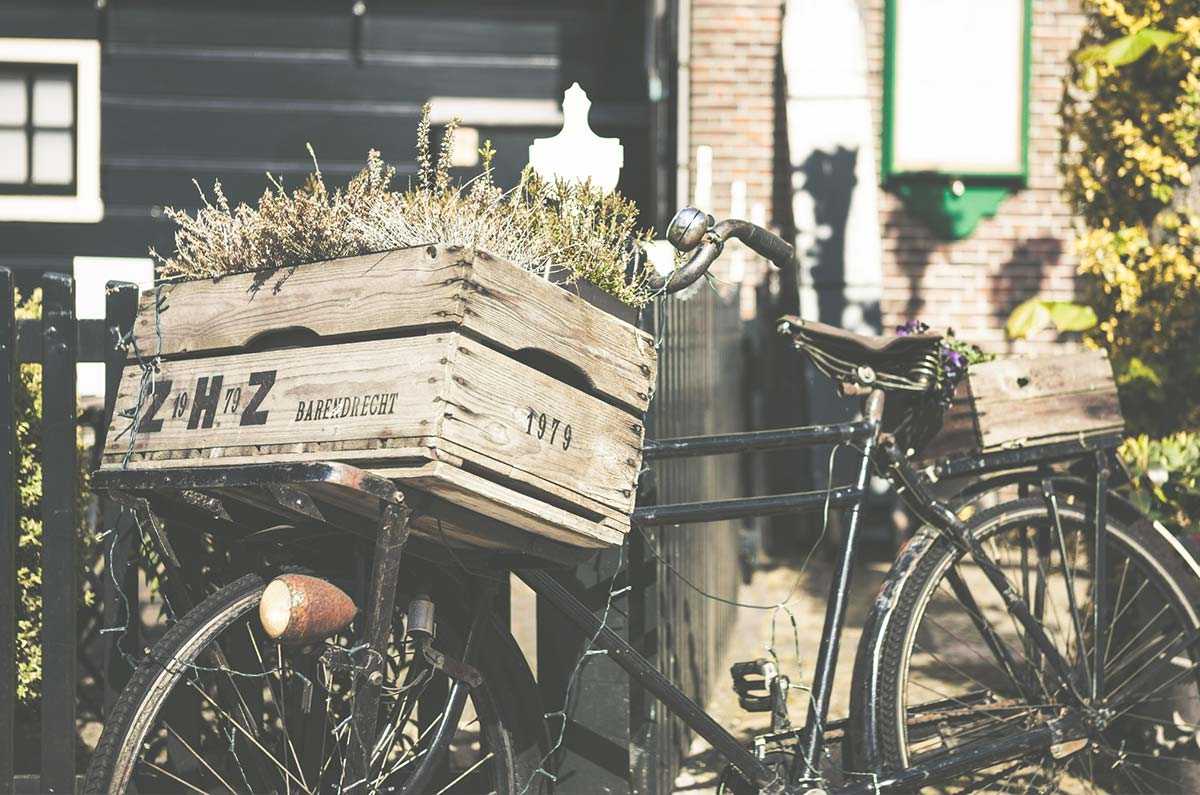 Highlights from summer travel to Amsterdam